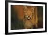 The Approach-Staffan Widstrand-Framed Giclee Print