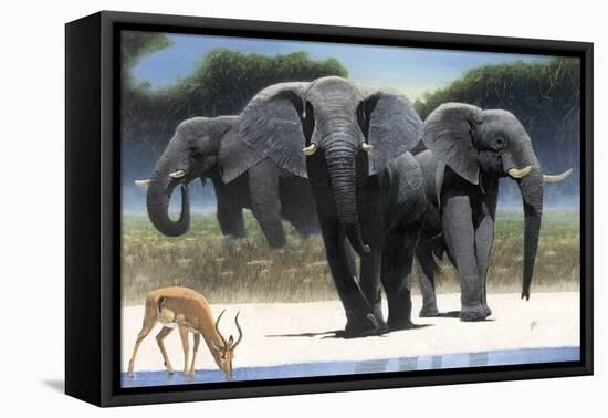 The Approach-Durwood Coffey-Framed Stretched Canvas