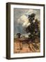 The Approaching Storm, 1845 (Oil on Panel)-William James Muller-Framed Giclee Print