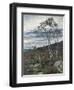 The Apremont Rocks, by Ion Andreescu-null-Framed Giclee Print