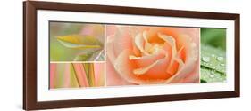 The Apricot Garden-Cora Niele-Framed Photographic Print