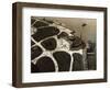 The Aquarium at Castle Clinton of Battery Park-null-Framed Photographic Print