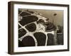 The Aquarium at Castle Clinton of Battery Park-null-Framed Photographic Print