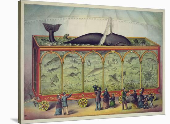 The Aquarium-Vintage Reproduction-Stretched Canvas