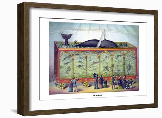 The Aquarium-Gibson & Co-Framed Art Print