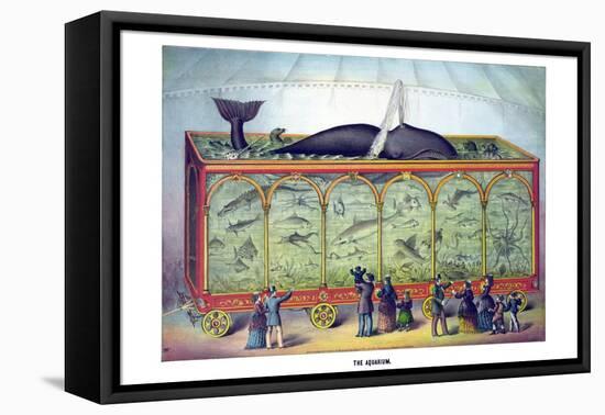 The Aquarium-Gibson & Co-Framed Stretched Canvas