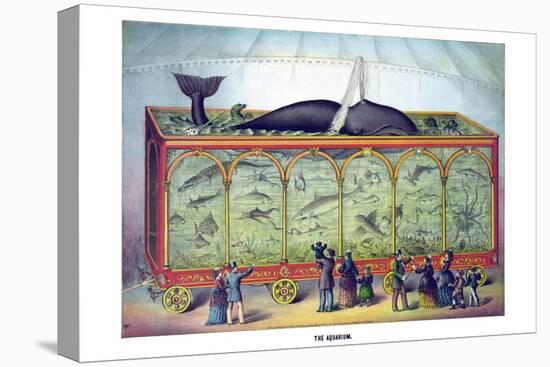 The Aquarium-Gibson & Co-Stretched Canvas