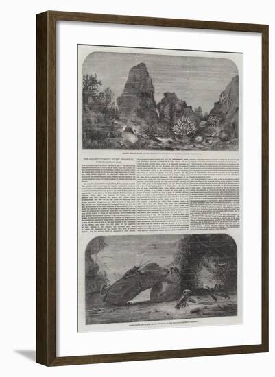 The Aquatic Vivarium at the Zoological Gardens, Regent's Park-Samuel Read-Framed Giclee Print