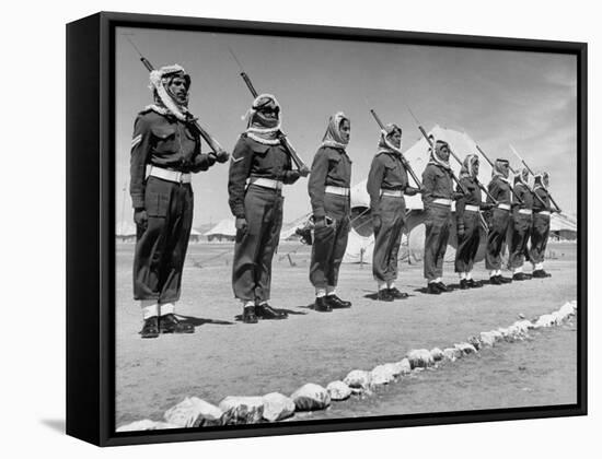 The Arab Legion Standing in a Formal Line-John Phillips-Framed Stretched Canvas