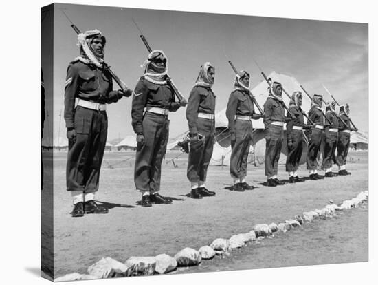 The Arab Legion Standing in a Formal Line-John Phillips-Stretched Canvas