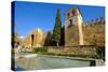 The Arab Puerta De Almodovar and the Mediaeval Wall, Cordoba, Andalucia, Spain-Carlo Morucchio-Stretched Canvas