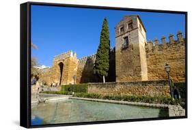The Arab Puerta De Almodovar and the Mediaeval Wall, Cordoba, Andalucia, Spain-Carlo Morucchio-Framed Stretched Canvas