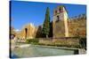 The Arab Puerta De Almodovar and the Mediaeval Wall, Cordoba, Andalucia, Spain-Carlo Morucchio-Stretched Canvas