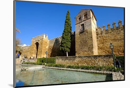 The Arab Puerta De Almodovar and the Mediaeval Wall, Cordoba, Andalucia, Spain-Carlo Morucchio-Mounted Photographic Print