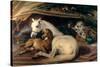 The Arab Tent, 1866-Edwin Henry Landseer-Stretched Canvas