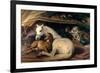 The Arab Tent, 1866-Edwin Henry Landseer-Framed Premium Giclee Print