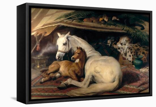 The Arab Tent, 1866-Edwin Henry Landseer-Framed Stretched Canvas