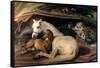 The Arab Tent, 1866-Edwin Henry Landseer-Framed Stretched Canvas