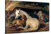 The Arab Tent, 1866-Edwin Henry Landseer-Stretched Canvas