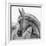 The Arabian Horse-Piet Flour-Framed Photographic Print