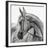 The Arabian Horse-Piet Flour-Framed Photographic Print