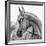 The Arabian Horse-Piet Flour-Framed Photographic Print