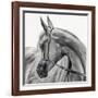 The Arabian Horse-Piet Flour-Framed Photographic Print