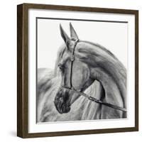 The Arabian Horse-Piet Flour-Framed Photographic Print