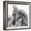 The Arabian Horse-Piet Flour-Framed Photographic Print