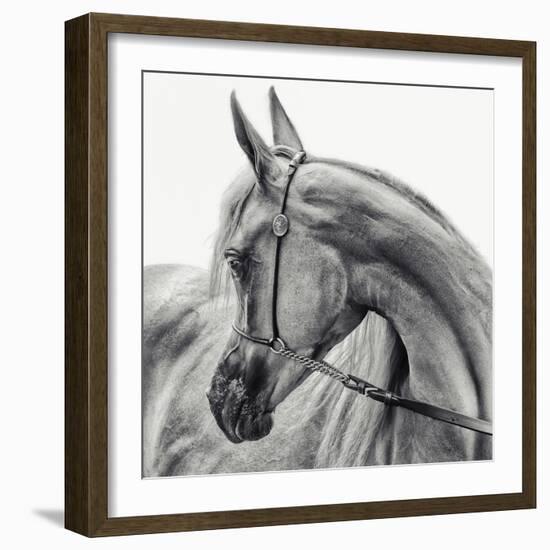 The Arabian Horse-Piet Flour-Framed Photographic Print