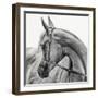 The Arabian Horse-Piet Flour-Framed Photographic Print