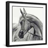 The Arabian Horse-Piet Flour-Framed Photographic Print