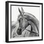 The Arabian Horse-Piet Flour-Framed Photographic Print