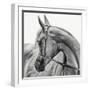 The Arabian Horse-Piet Flour-Framed Photographic Print