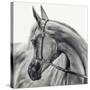 The Arabian Horse-Piet Flour-Stretched Canvas