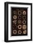 The Arcane Circles II-null-Framed Art Print