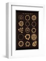 The Arcane Circles II-null-Framed Art Print