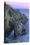 The Arch at Bodega Head-Vincent James-Stretched Canvas