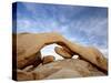 The Arch at White Tank Campground, Joshua Tree National Park, California-James Hager-Stretched Canvas