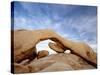 The Arch at White Tank Campground, Joshua Tree National Park, California-James Hager-Stretched Canvas