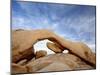 The Arch at White Tank Campground, Joshua Tree National Park, California-James Hager-Mounted Premium Photographic Print