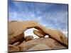 The Arch at White Tank Campground, Joshua Tree National Park, California-James Hager-Mounted Photographic Print