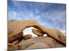 The Arch at White Tank Campground, Joshua Tree National Park, California-James Hager-Mounted Photographic Print