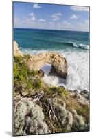 The Arch, Great Ocean Road, Shipwreck Coast, Australia-Martin Zwick-Mounted Photographic Print