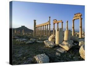 The Archaeological Site, Palmyra, Unesco World Heritage Site, Syria, Middle East-Bruno Morandi-Stretched Canvas