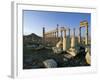 The Archaeological Site, Palmyra, Unesco World Heritage Site, Syria, Middle East-Bruno Morandi-Framed Photographic Print