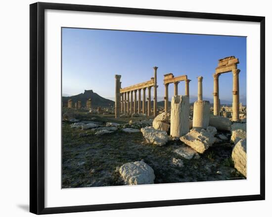 The Archaeological Site, Palmyra, Unesco World Heritage Site, Syria, Middle East-Bruno Morandi-Framed Photographic Print