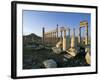 The Archaeological Site, Palmyra, Unesco World Heritage Site, Syria, Middle East-Bruno Morandi-Framed Photographic Print