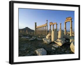 The Archaeological Site, Palmyra, Unesco World Heritage Site, Syria, Middle East-Bruno Morandi-Framed Photographic Print