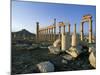 The Archaeological Site, Palmyra, Unesco World Heritage Site, Syria, Middle East-Bruno Morandi-Mounted Photographic Print